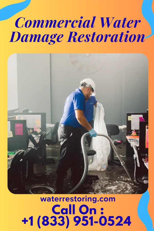 Commercial Water Damage Restoration in McKees Rocks, PA