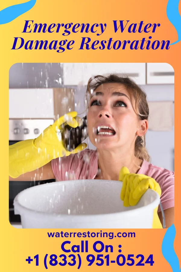 Emergency Water Damage Restoration in McKees Rocks, PA