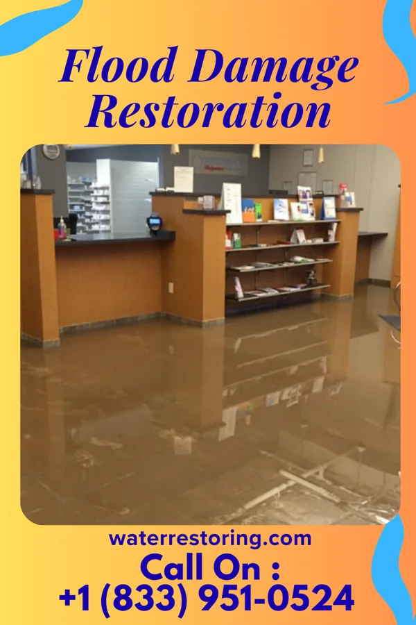 Flood Damage Restoration in McKees Rocks, PA