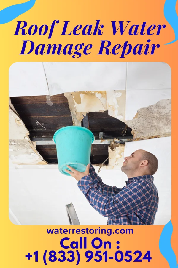 Roof Leak Water Damage Repair in McKees Rocks, PA