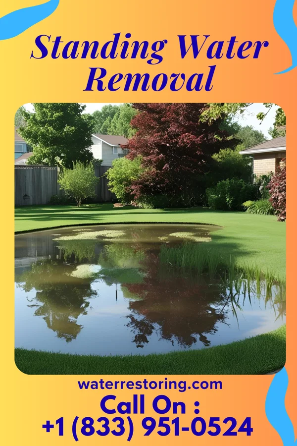 Standing Water Removal in McKees Rocks, PA